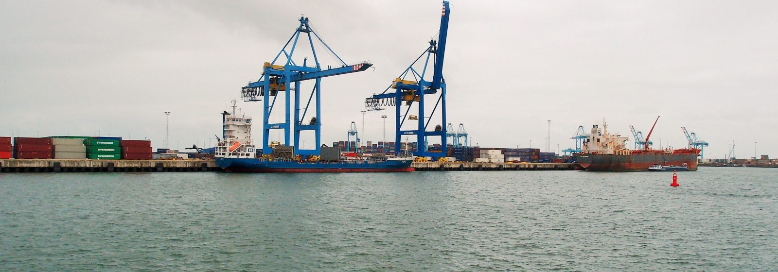 20210826 Zeebrugge containerkranen CHZ